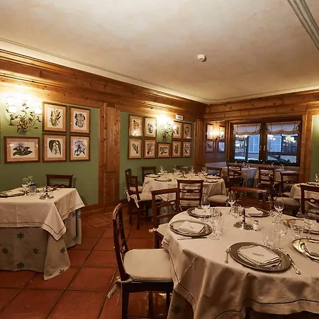 Gran & Wellness 4* 쿠르마예