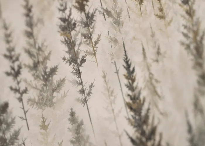 Hotel Gran & Wellness