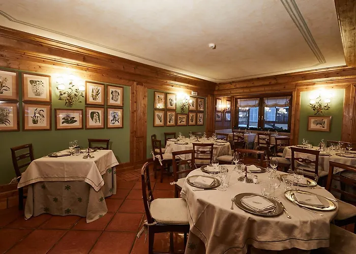 Gran & Wellness 4* كورمايور